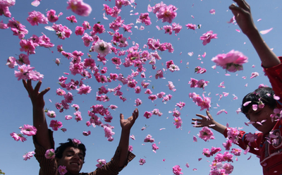 Rose Water Story: How it is Made?